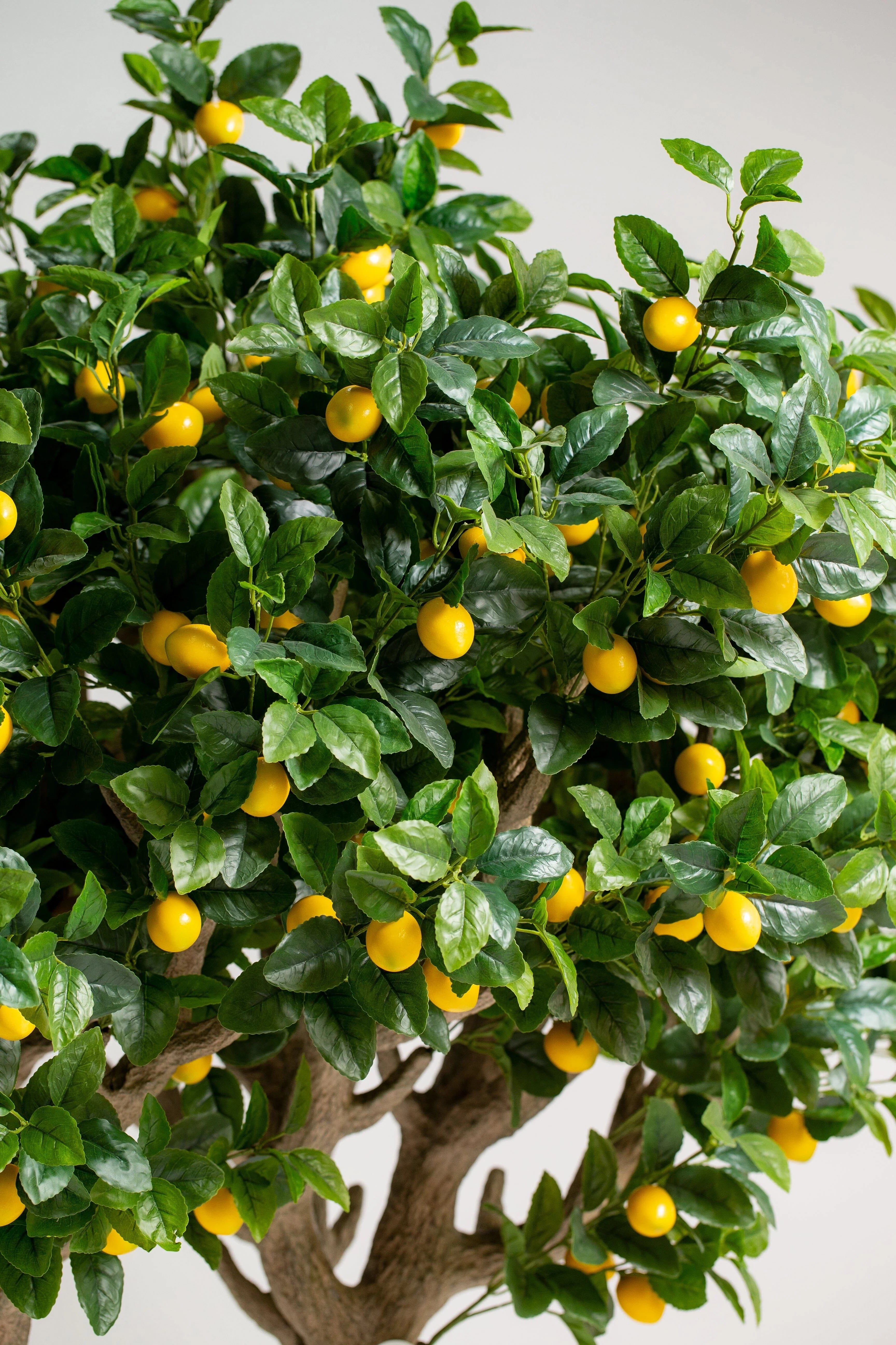 Artificial Lemon Tree 210x150CM (Pot Not Included)