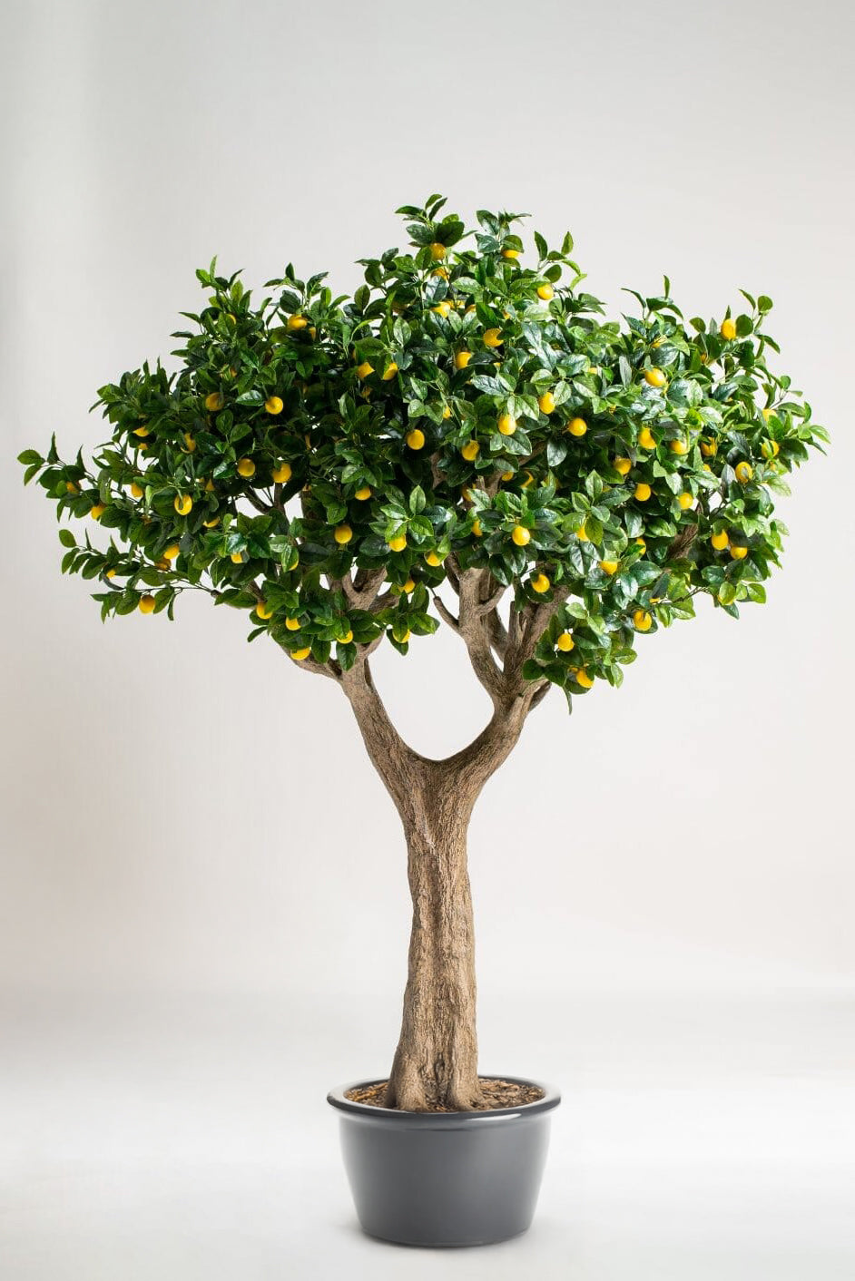 Artificial Lemon Tree 210x150CM (Pot Not Included)