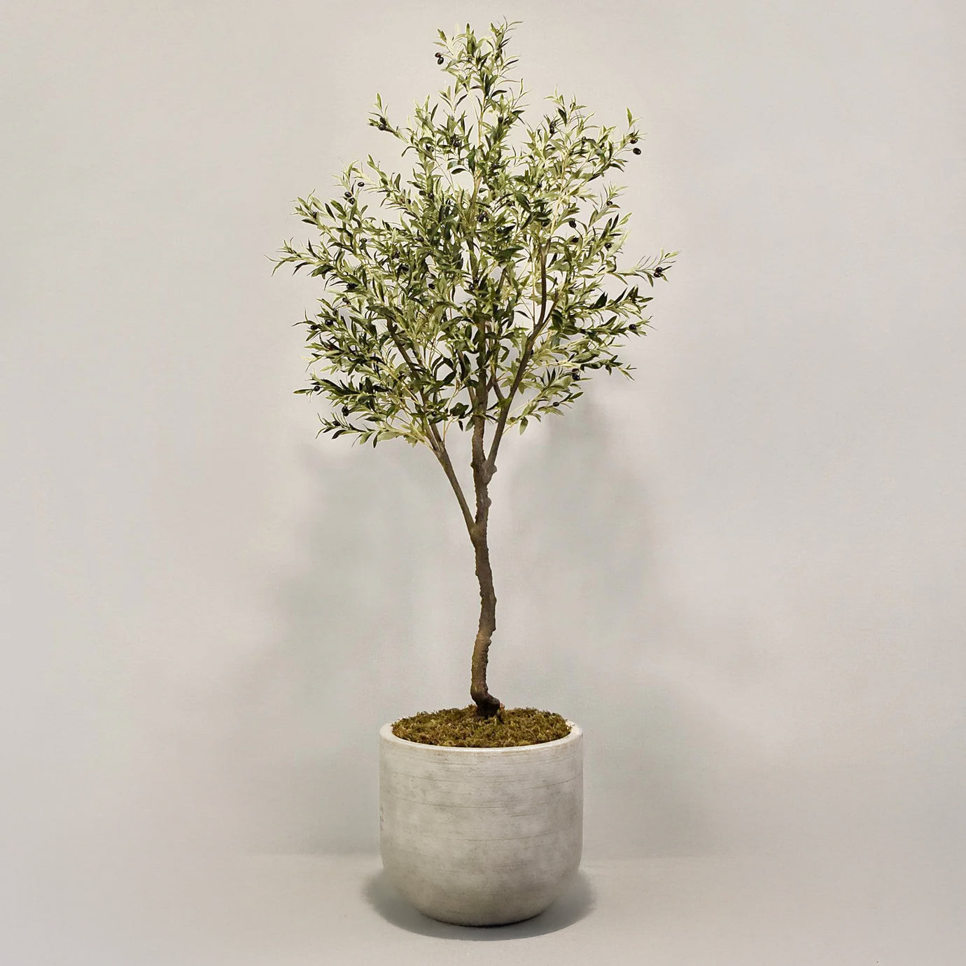 Artificial Olive Tree 180CM (Pot Not Included)