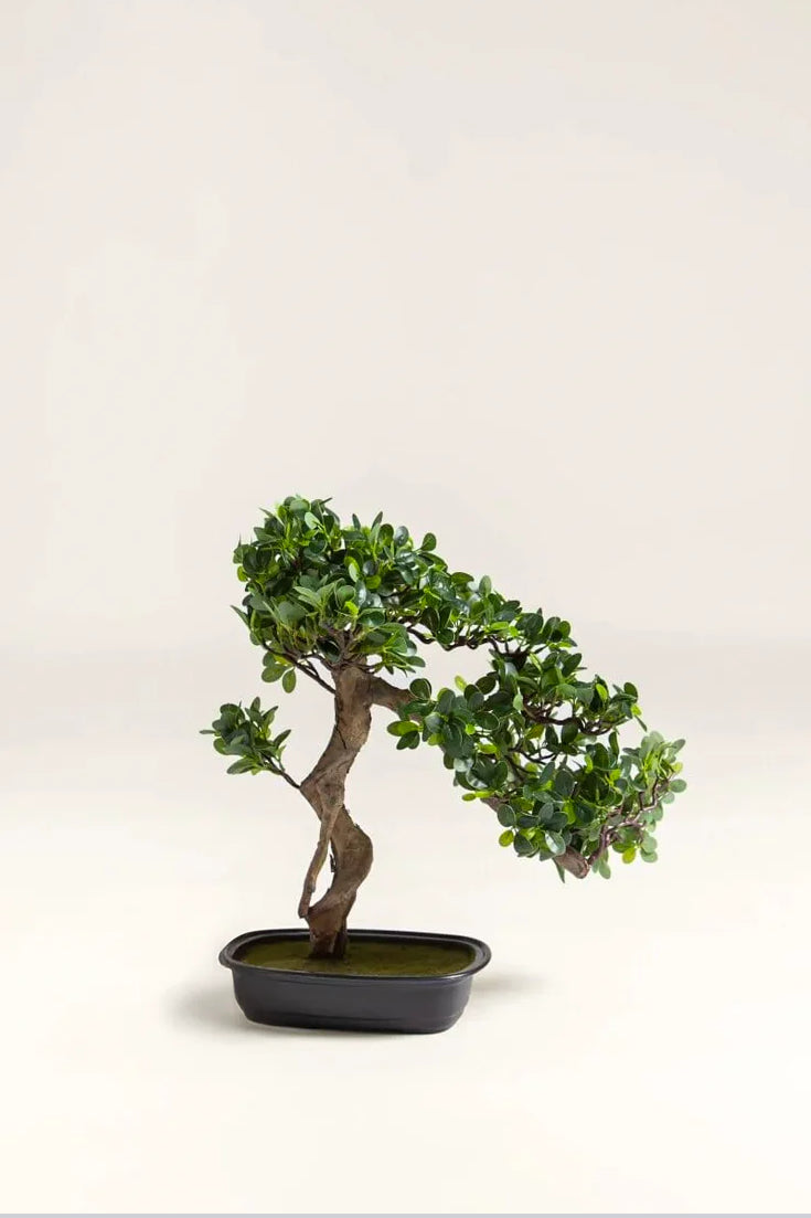 Ficus Microcarpa Bonsai Artificial Plant